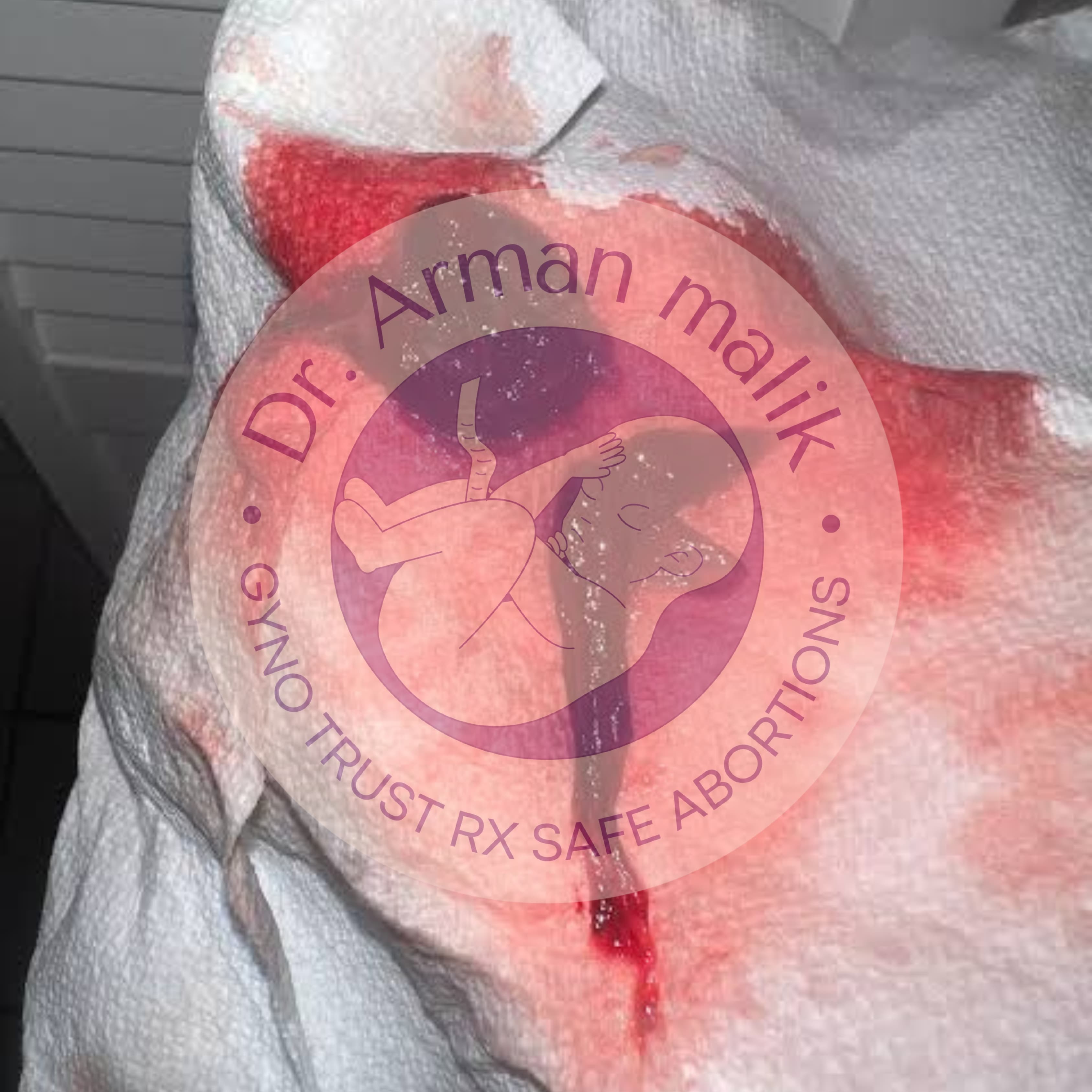 WhatsApp Image 2025-02-24 at 6.48.31 PM (1).jpeg